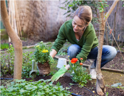 plantation jardin